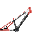 SYB 204: 20.5” TT Pro 24 BMX Frame