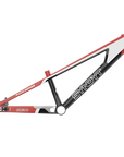 SYB 204: 20.5” TT Pro 24 BMX Frame