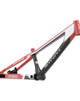 SYB 224: 22” TT Pro 24 XL BMX Frame