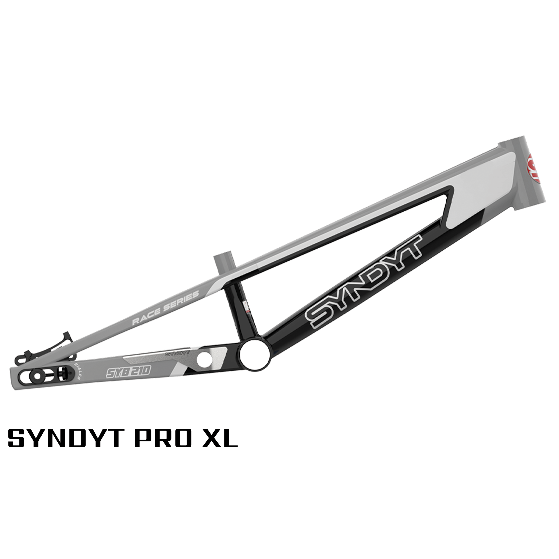 SYB 210 21 TT Pro XL BMX Frame