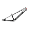 SYB 175: 17.5” TT Mini BMX Frame