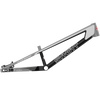 SYB 195: 19.5” TT Expert BMX Frame