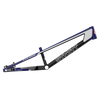 SYB 200: 20” TT Expert XL BMX Frame