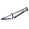 SYB 210: 21” TT Pro XL BMX Frame