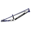 SYB 215: 21.5” TT Pro 2XL BMX Frame