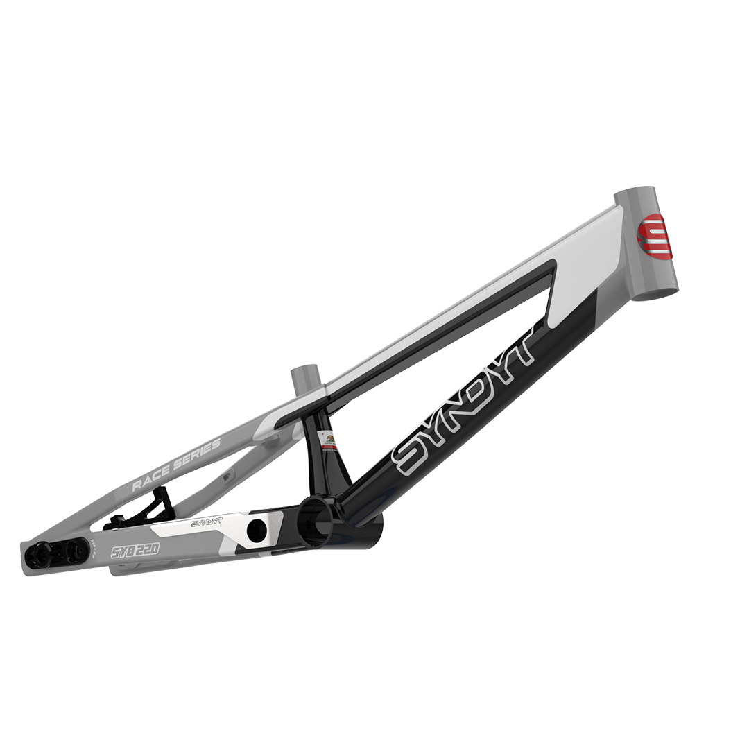 bmx フレーム LPL FRAME V2 - ALIVE INDUSTRY - BMX専門のZEN DISTRIBUTION