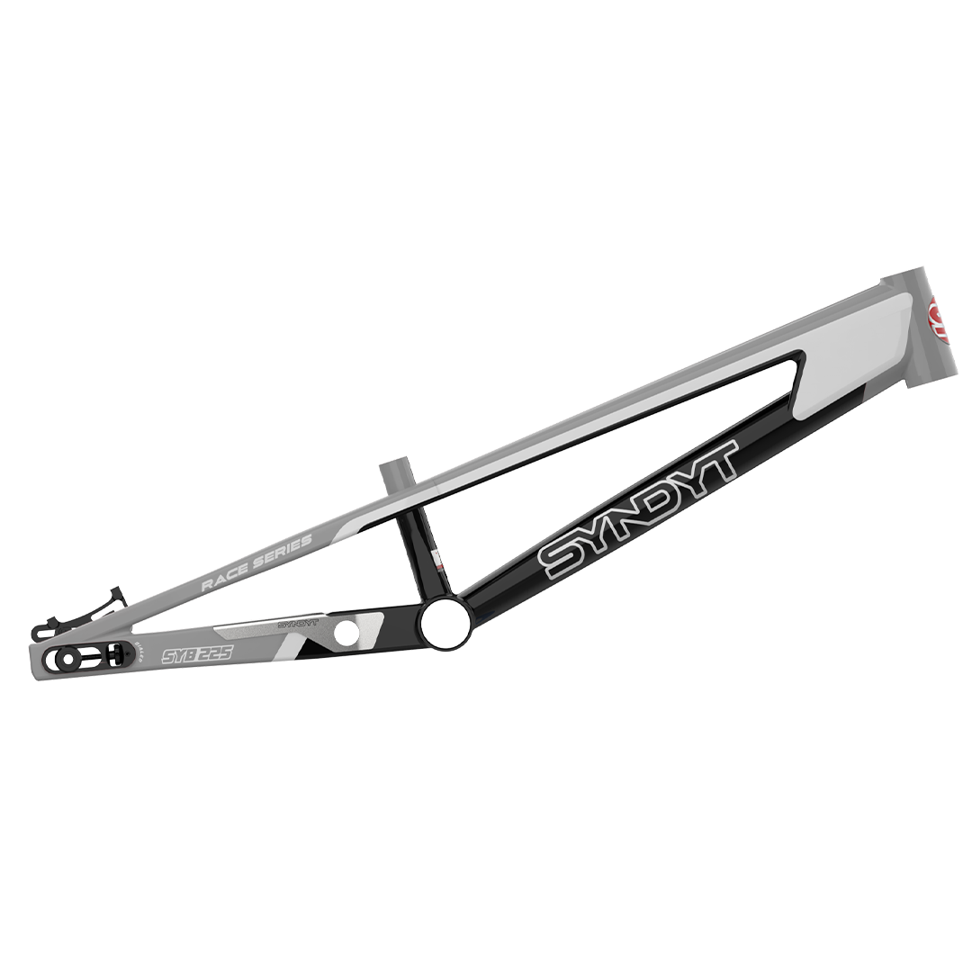 SYB 225: 22.5” TT Pro 4XL BMX Frame