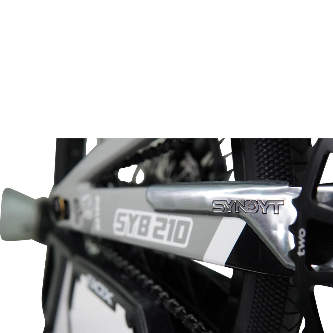 SYB 195: 19.5” TT Expert BMX Frame