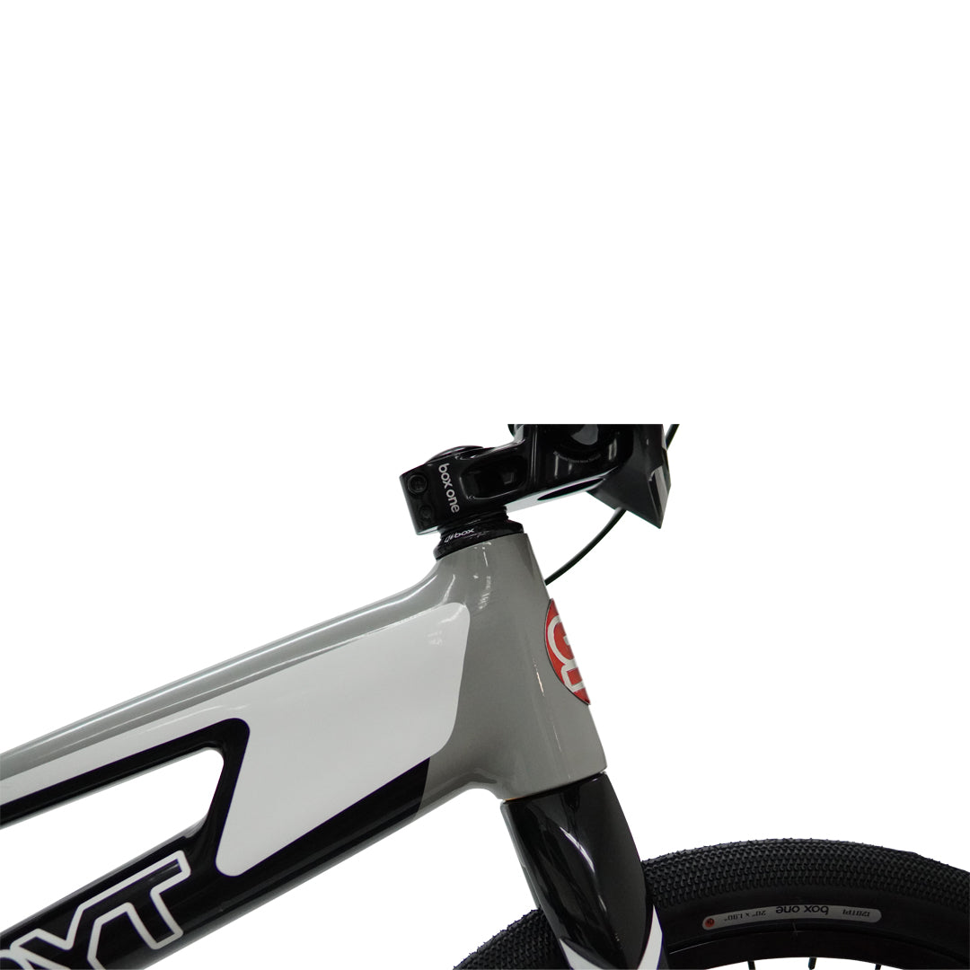 SYB 215: 21.5” TT Pro 2XL BMX Frame