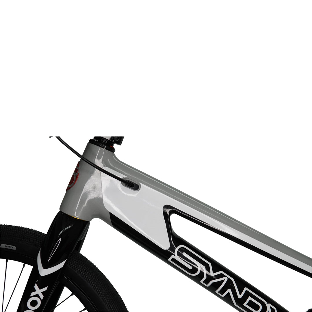 SYB 204: 20.5” TT Pro 24 BMX Frame