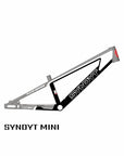 SYB 175: 17.5” TT Mini BMX Frame
