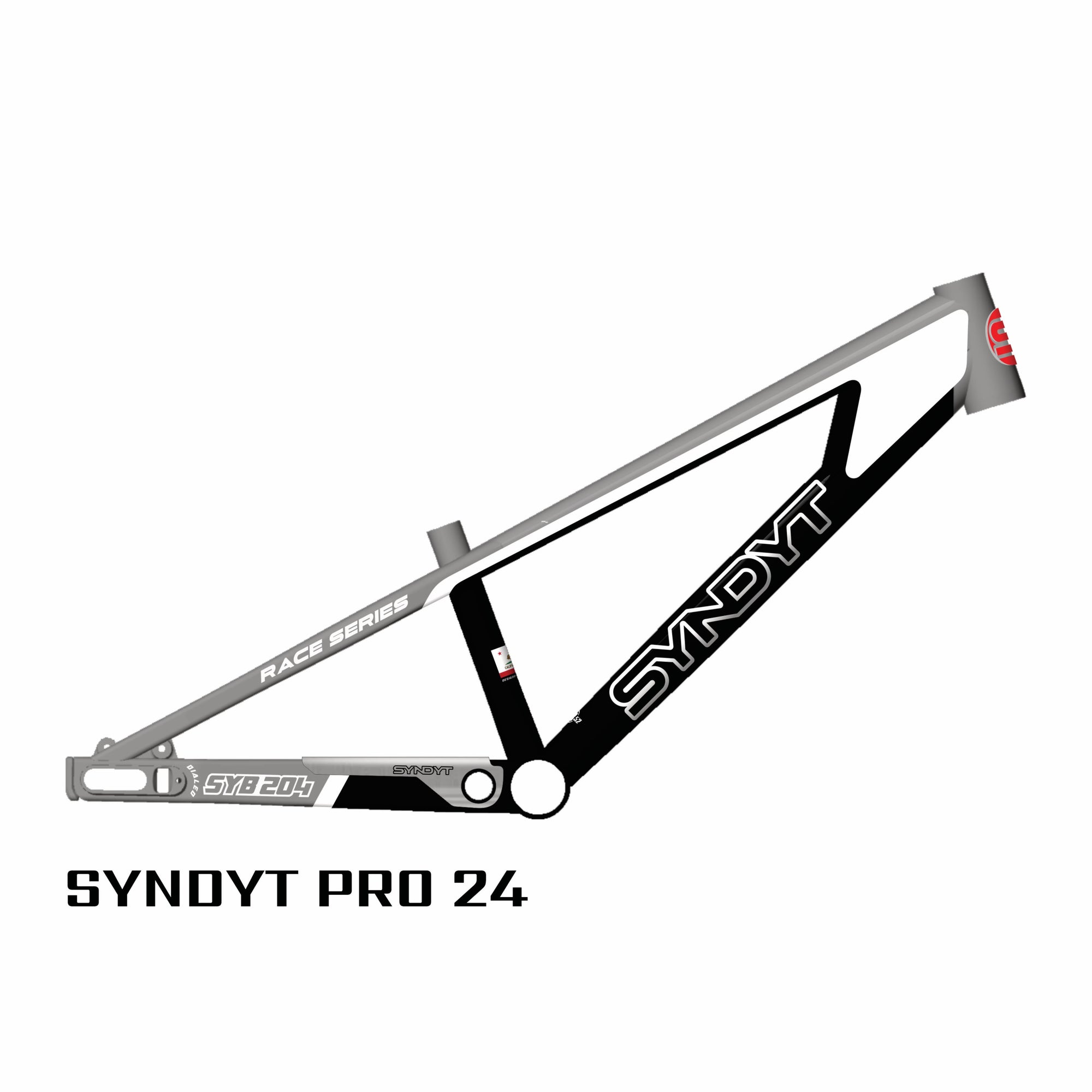 SYB 204: 20.5” TT Pro 24 BMX Frame