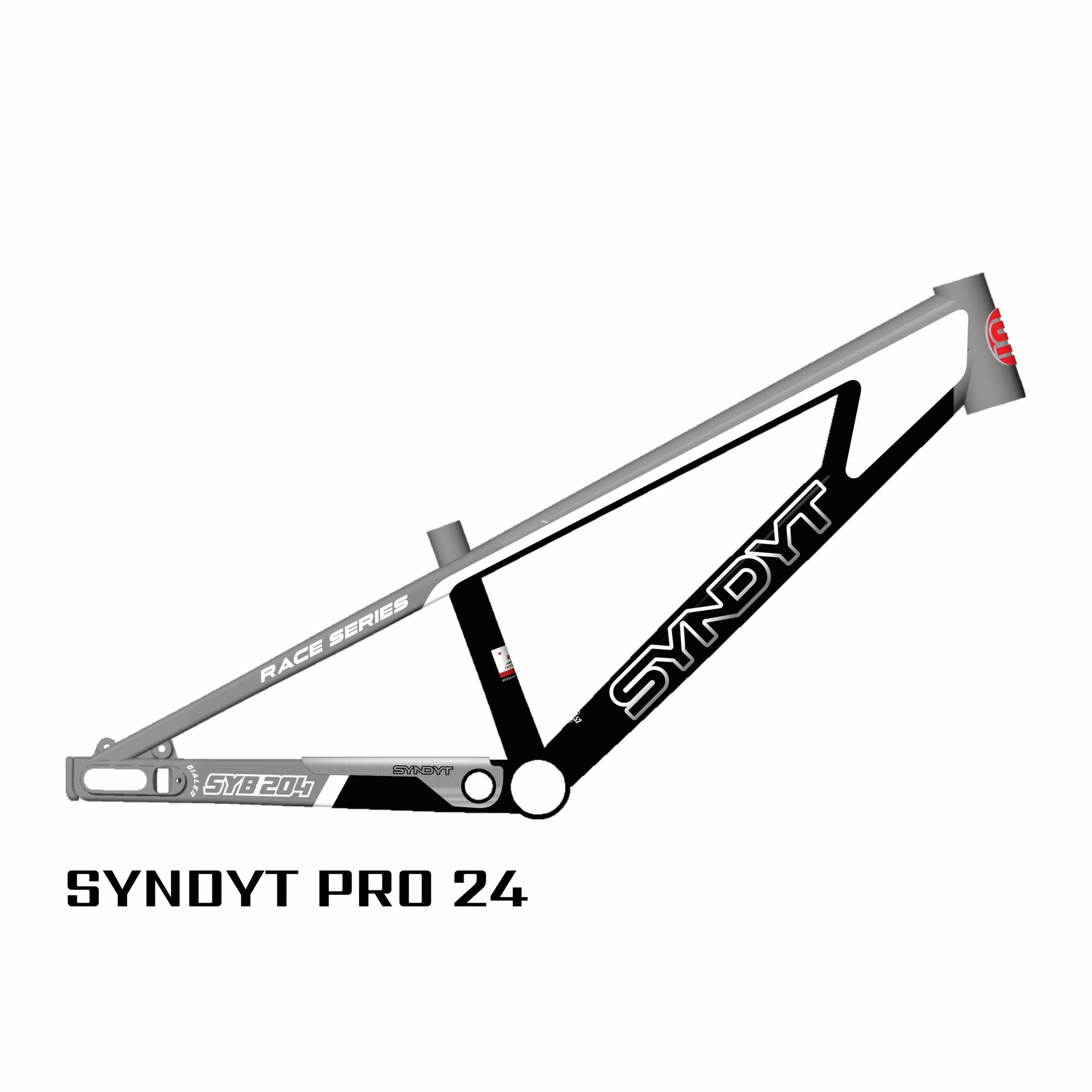 SYB 204: 20.5” TT Pro 24 BMX Frame – Syndyt