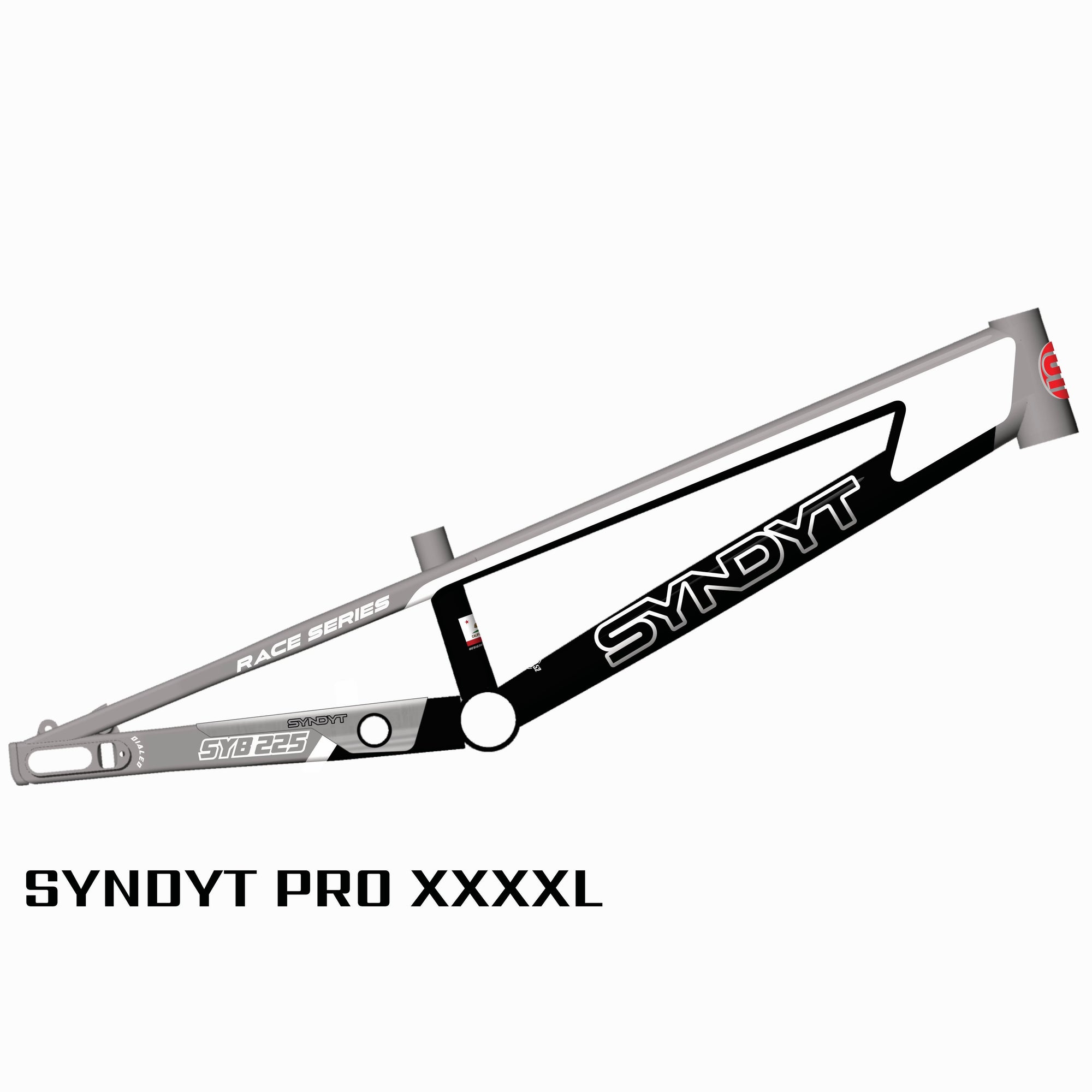 SYB 225: 22.5” TT Pro 4XL BMX Frame