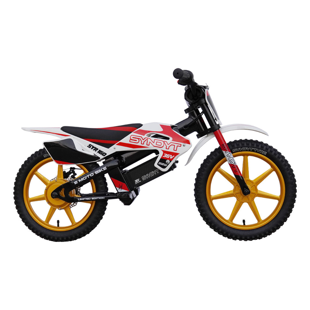 SYNDYT SYR 160 16&quot; E Balance Bike. 36 Volts. 10 AH. 350 Watts. 5, 10, 16mph