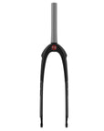 SPP Expert Supersized Carbon Forks