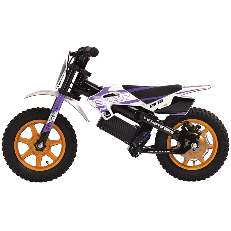 SYR 120: 12” E Balance Bike. 24 Volts. 10 AH. 250 Watts. 5, 8, 12mph